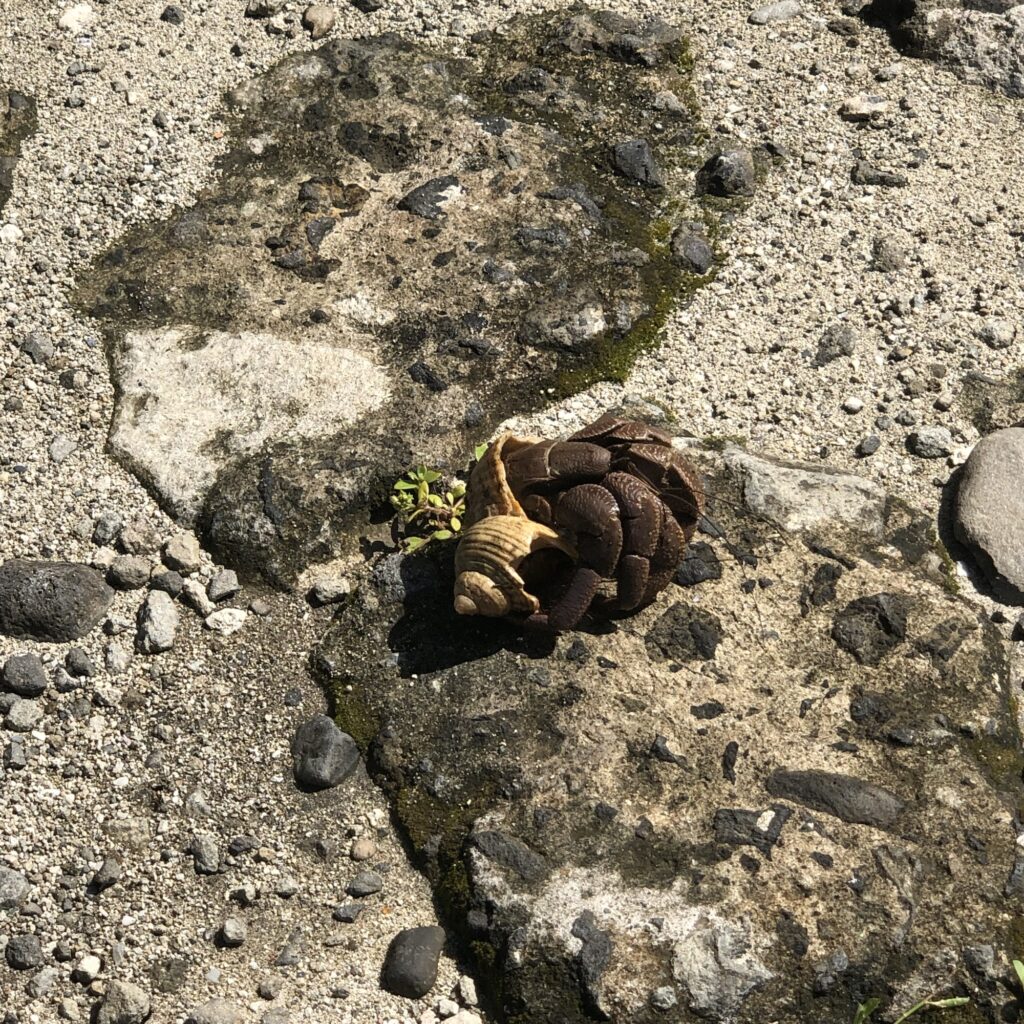 綠島打工換宿