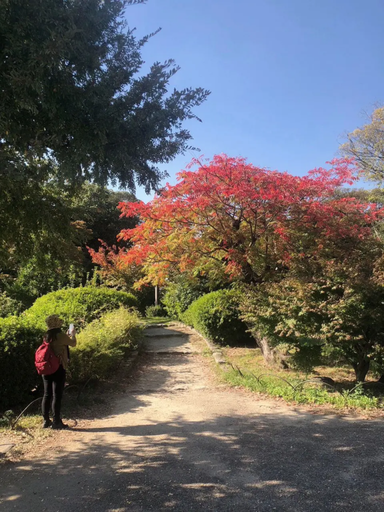 日本大阪京都自由行植物迷媽媽