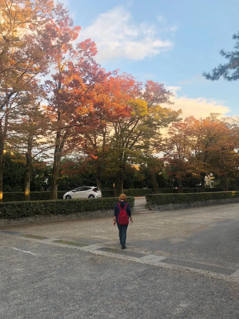 日本大阪京都自由行植物迷媽媽