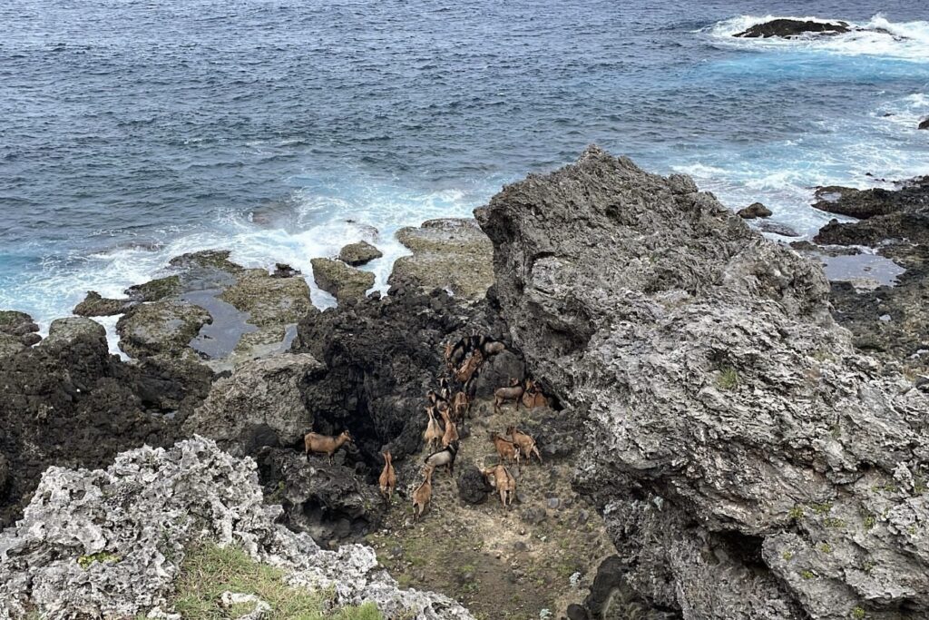 綠島打工換宿帆船鼻